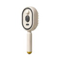 lectric Steam Brush for Hair